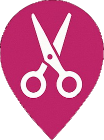 SalonSolution logo